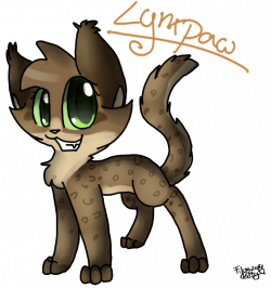 My warrior cat Oc Lynxpaw by MintyGumball on DeviantArt