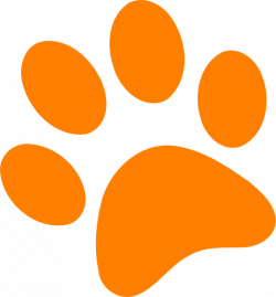 28+ Collection of Paw Clipart Png | High quality, free cliparts ...