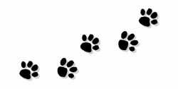 Download for free 10 PNG Paw print clipart transparent ...