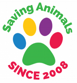 LARAS House Limestone Animal Rescue and Adoption Shelter