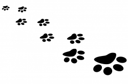 Cat paw paw print trail clip art - ClipartBarn