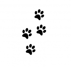 2 Pack Paw Print Trail Decals *Choose size & color* Paw Print Trail Sticker  - Paw Print Decal Paw Print Sticker - Car Decal Laptop Decal