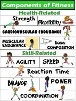 PE Poster: Components of Fitness- Health and Skill-Related ...