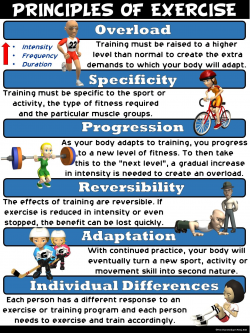 PE Poster: Principles of Exercise | P.E. | Health, physical ...