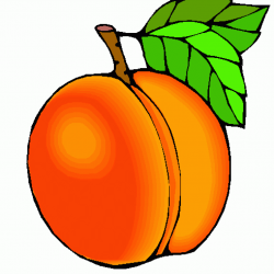 Peach Clipart | jokingart.com Peach Clipart