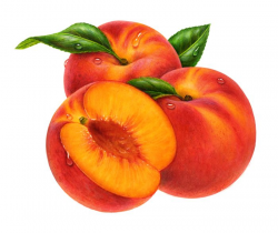 Peaches clipart Big 700x589 Fruit | Фрукты и овощи | Pinterest ...