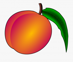 Peach Clip Art - Free Clip Art Peach #117160 - Free Cliparts ...