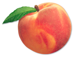 peach fruit aesthetic freetoedit...