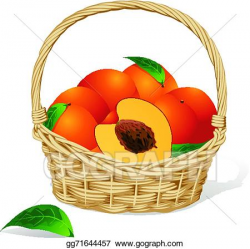 Vector Art - Basket of peaches. Clipart Drawing gg71644457 ...