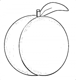 Peach Clipart Black And White | Free download best Peach ...
