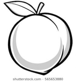 Peach clipart black and white 6 » Clipart Station