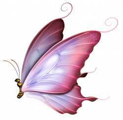 Butterfly 12.png | Pinterest | Butterfly and Diy art