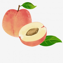 Fruit Fresh Peach, Summer Fruit, Fresh Peaches, Fruit PNG ...