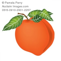 Clip Art Illustration of a Fresh Peach
