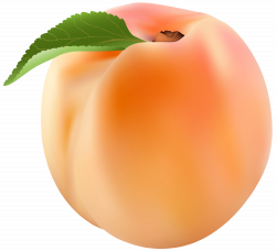 Peach PNG Clip Art Image | Gallery Yopriceville - High-Quality ...