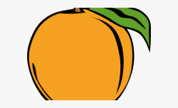 Orange Fruit Clipart Carrots - Peach Clip Art #247547 - Free ...