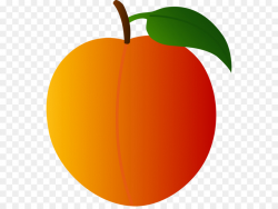 Apple Leaf png download - 600*671 - Free Transparent Peach ...