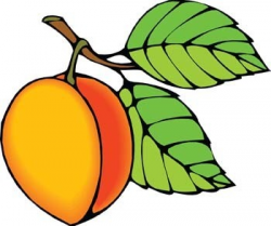 Peach Cobbler Clipart | Free download best Peach Cobbler ...