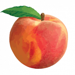 Peaches Transparent PNG Pictures - Free Icons and PNG Backgrounds