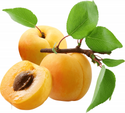 Three Peaches transparent PNG - StickPNG