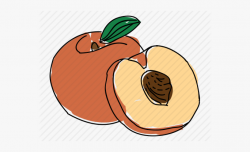 Peach Pit Clipart #126672 - Free Cliparts on ClipartWiki
