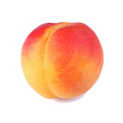 Peach PNG Clipart #41686 - Free Icons and PNG Backgrounds