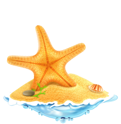 Starfish Royalty-free Clip art - Yellow starfish FIG. 1000*1024 ...