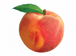 Peach Png - Peach Clipart Transparent Background Free PNG ...