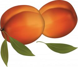 peaches png - Free PNG Images | TOPpng