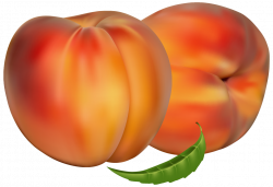 Peaches PNG Clipart - Best WEB Clipart