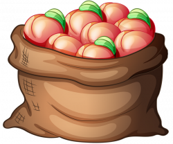 2.png | Peach, Clip art and Food clipart