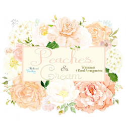 Cream hydrangea clipart with peach floral roses and peonies ...