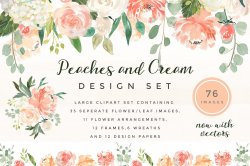 Peaches & Cream Flower Graphic Set | Watercolor Elements ...