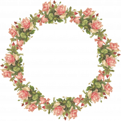 Catherine Klein: Pink Roses Digital Elements | Pinterest | Catherine ...