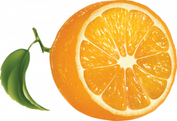 orange Clipart png - Free PNG Images | TOPpng