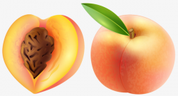 Hand-painted Fresh And Delicious Peaches, Hand Painted ...