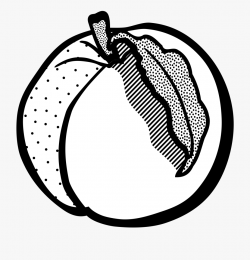 Simple Peach Clipart Black And White Clipground Ideas ...
