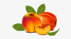 Juice Peaches Transprent Png Free Download Superfood - Peach ...
