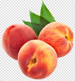 Peach , Large Peaches , three ripe apples transparent ...