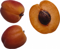 Peaches Transparent PNG Pictures - Free Icons and PNG Backgrounds