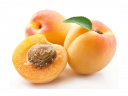 Food and Health Awareness | Delicious Apricot with Powerful Health ...