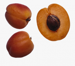 Peaches Clipart Peach Pit - Salary Fruit, Cliparts ...