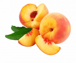 Peaches Png Images Stickpng Transparent Background - Peach ...