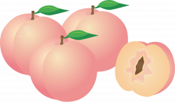 Clipart - Peaches