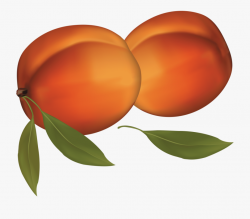 Peaches Png Free Images Toppng Transparent - Peaches Clipart ...