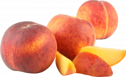 Peaches PNG Image - PurePNG | Free transparent CC0 PNG Image Library