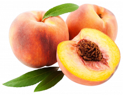 Peach PNG Transparent Images | PNG All