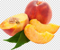 Nectarine , Sliced Peaches transparent background PNG ...