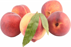 Peaches transparent PNG - StickPNG