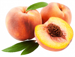 Peach png - Free PNG Images | TOPpng